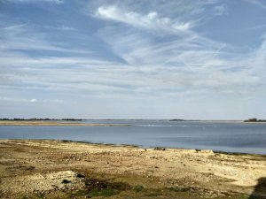 Kraniche am Lac du Der