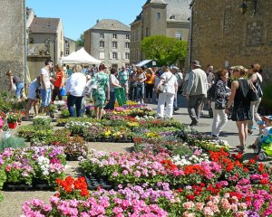 Rodemack - marché aux fleurs 